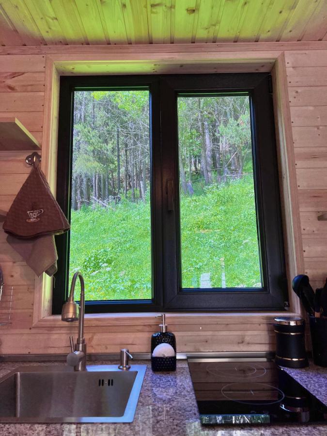 Woodland Holiday home *