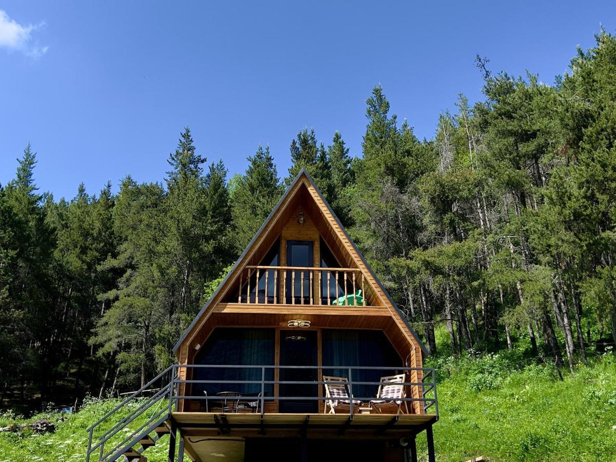 Woodland Holiday home *